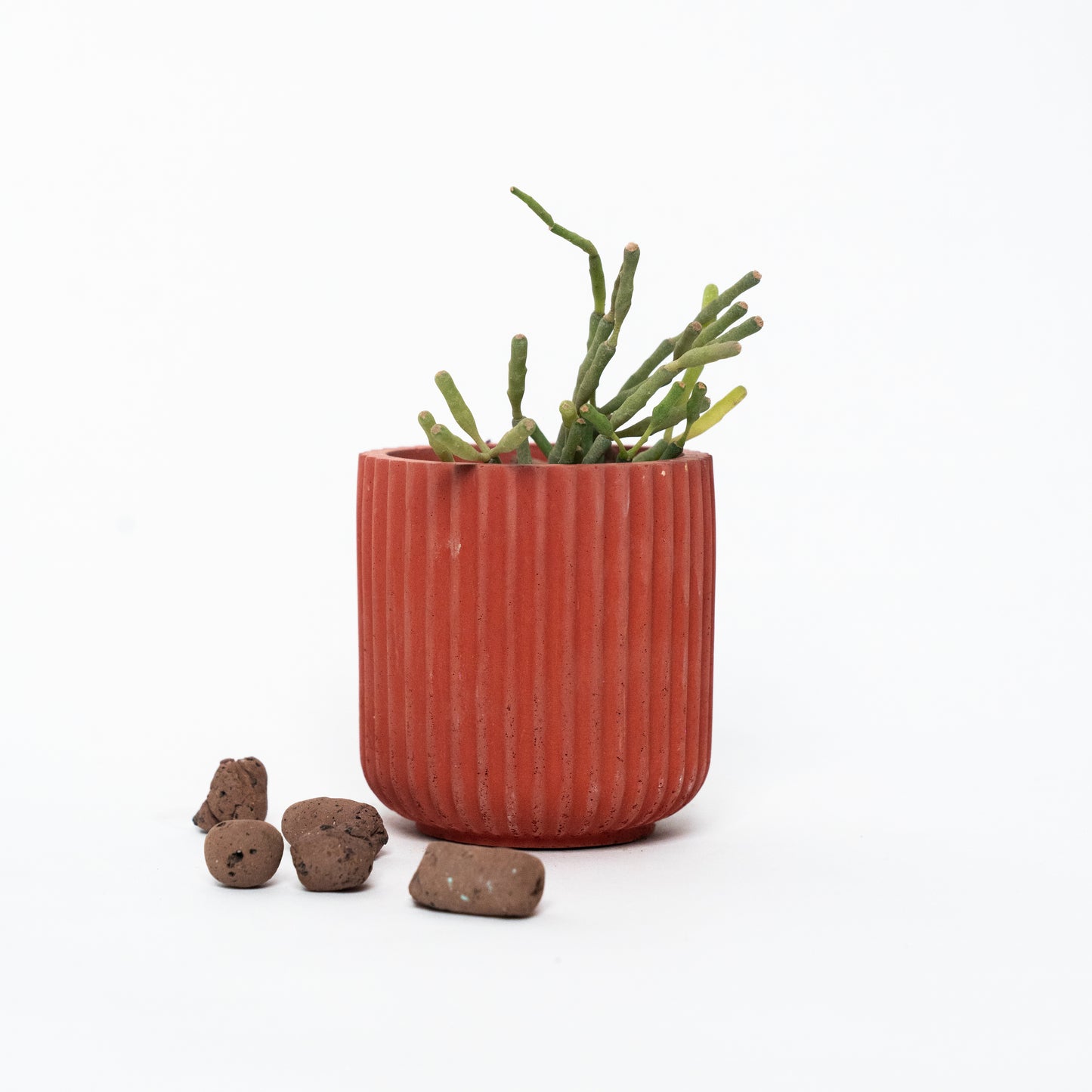 Dorè Bloom Planter