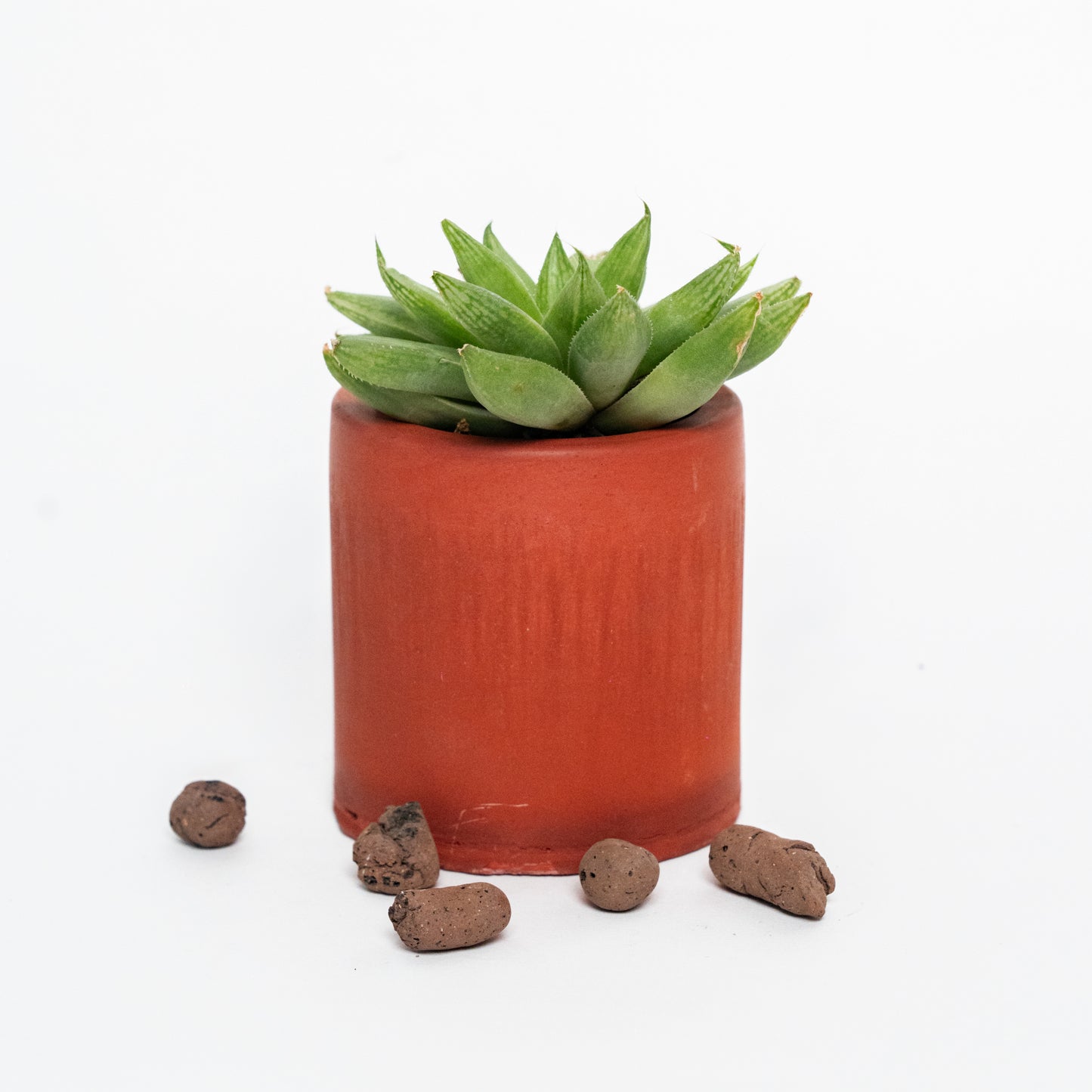 Nestà Verde Planter - Flourish with style